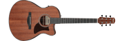Ibanez AAM54CE – Gitaaronderdeel