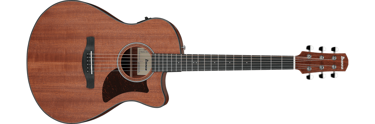 Ibanez AAM54CE – Gitaaronderdeel
