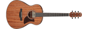 Ibanez AAM54 – Gitaaronderdeel