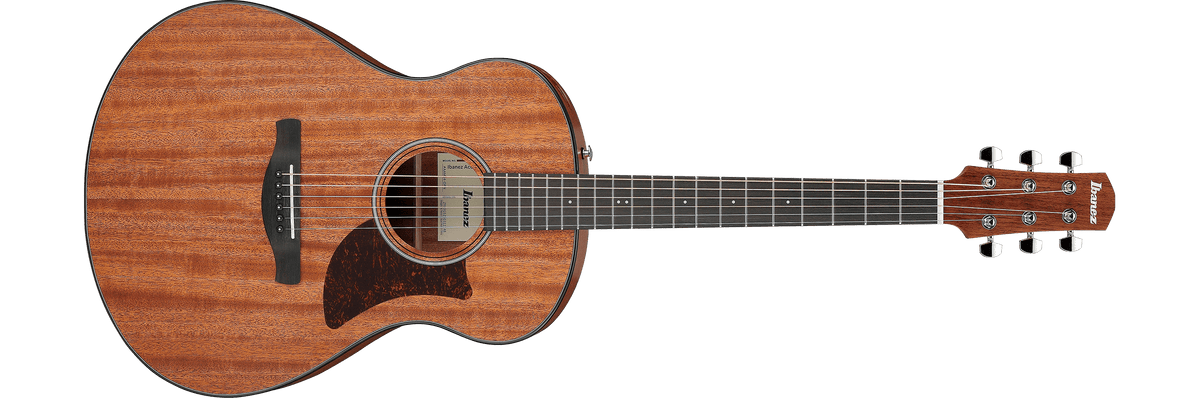 Ibanez AAM54 – Gitaaronderdeel