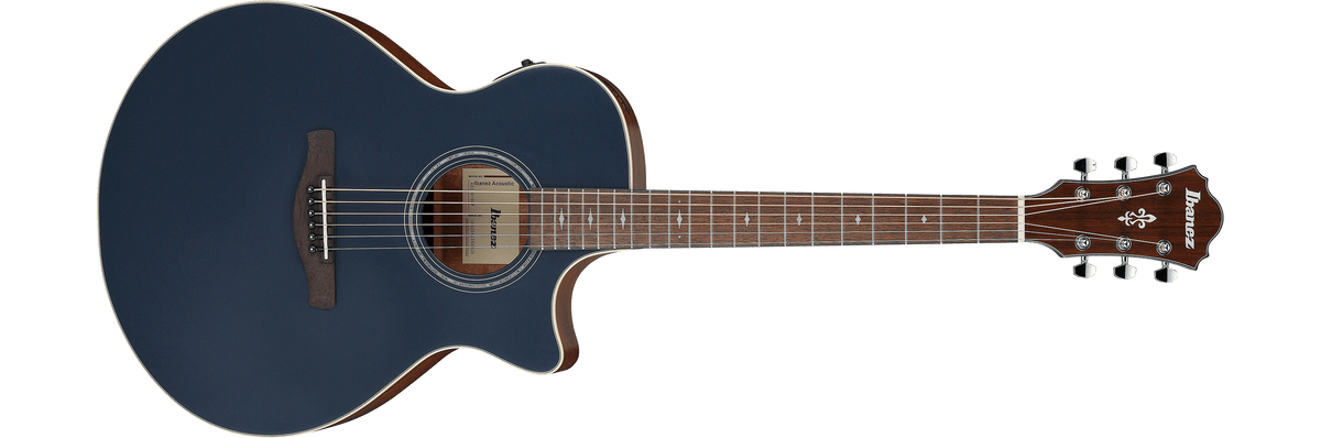 Ibanez AE100 – Gitaaronderdeel