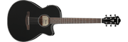 Ibanez AEG50 – Gitaaronderdeel