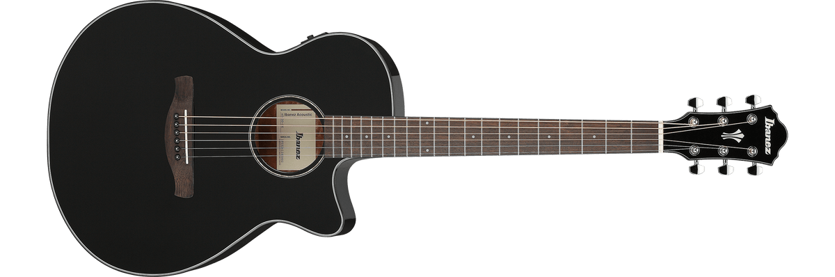 Ibanez AEG50 – Gitaaronderdeel