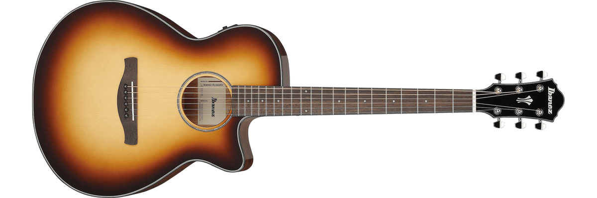 Ibanez AEG50 – Gitaaronderdeel