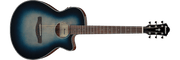 Ibanez AEG50 – Gitaaronderdeel