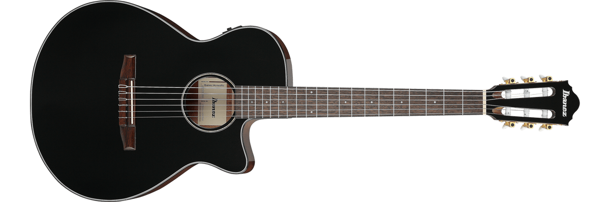 Ibanez AEG50N – Gitaaronderdeel