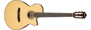 Ibanez AEG50 – Gitaaronderdeel