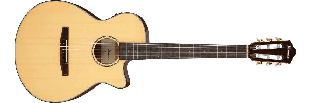 Ibanez AEG50 – Gitaaronderdeel