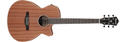 Ibanez AEG7 – Gitaaronderdeel