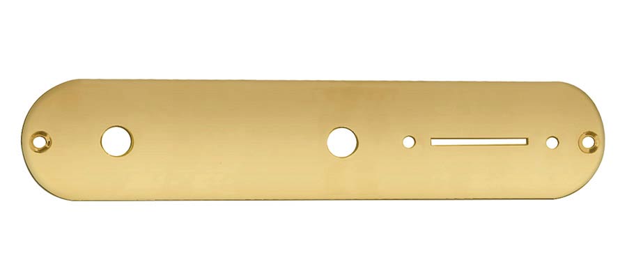 Boston CP-TE-AG bedieningsplaat voor Teaser-model – goud, inch-potmeters