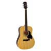 Richwood RD-12 Artist Series akoestische gitaar, dreadnought, naturel