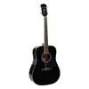 Richwood RD-12-BK Artist Series akoestische gitaar, dreadnought, zwart