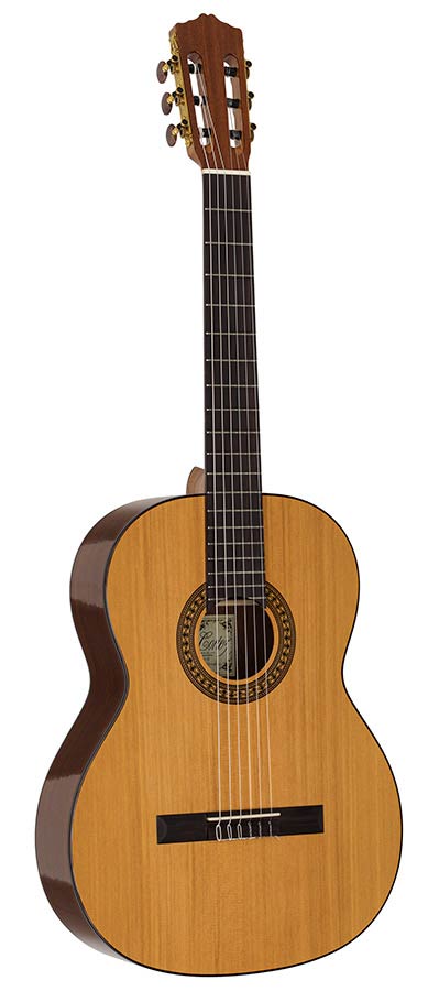 Salvador Cortez CC-22 Artist Series klassieke gitaar – massief ceder