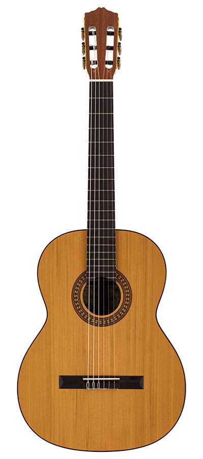 Salvador Cortez CC-22 Artist Series klassieke gitaar – massief ceder