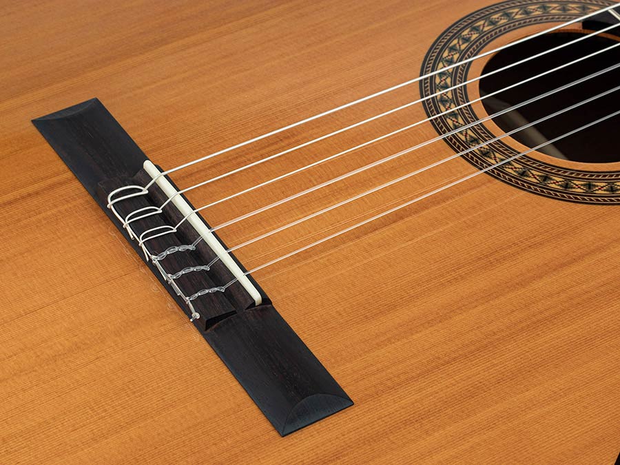 Salvador Cortez CC-22 Artist Series klassieke gitaar – massief ceder