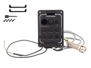Richwood PSY-301 vervangingsonderdeel Fishman Presys Blend voorversterker met element, microfoon en jackplug in de staartknop