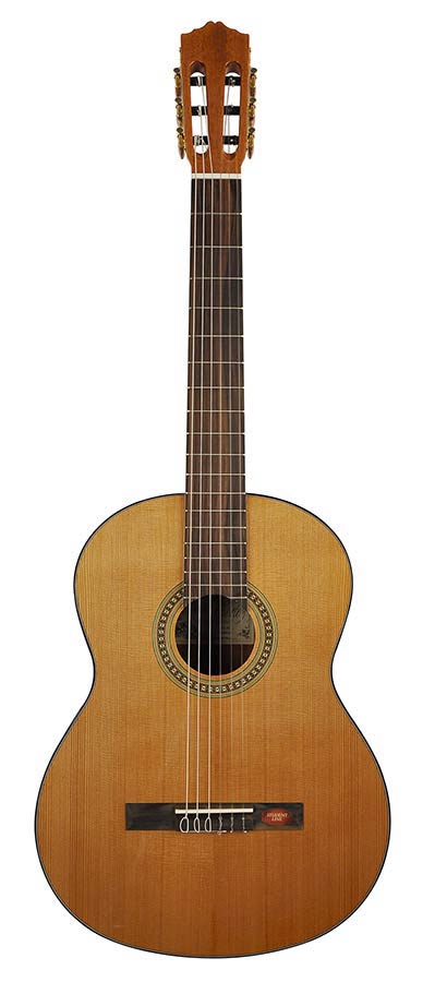 Salvador Cortez CC-10 Klassieke Gitaar 4/4 Ceder