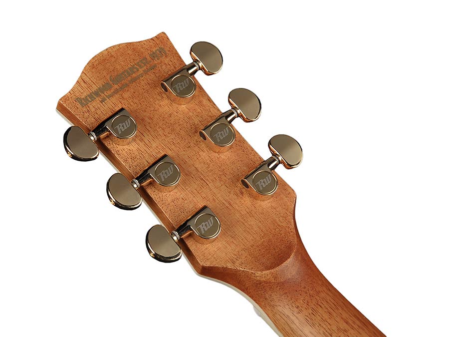 Richwood A-70-EVA Master Series handgemaakte auditorium gitaar, massief sparren en palissander, echte abalone, Presys 201