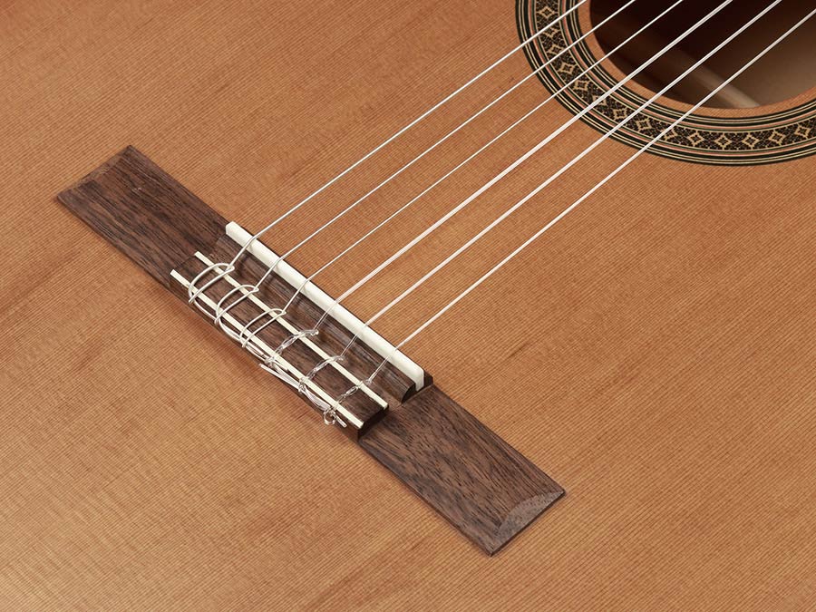 Salvador CC-06 Cortez Student Series Klassieke Gitaar