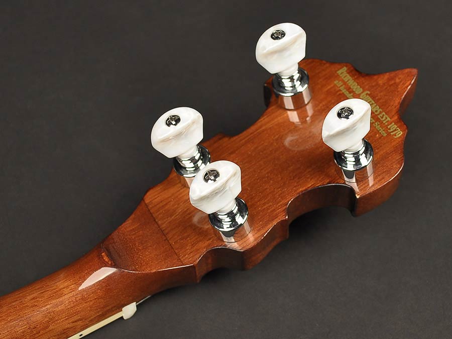 Richwood RMB-905 Heritage Series bluegrassbanjo, 5-snarig, aluminium ketel en tonering, ebben toets, 24 beugels