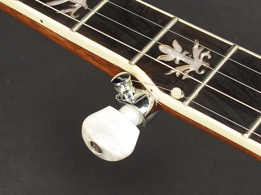 Richwood RMB-905 Heritage Series bluegrassbanjo, 5-snarig, aluminium ketel en tonering, ebben toets, 24 beugels