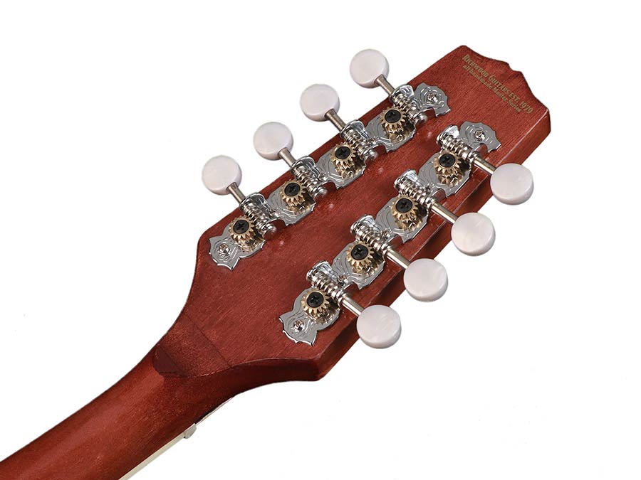 Richwood RMBM-408 Heritage Series mandolinebanjo, open achterkant, mahonie ketel, 12 beugels