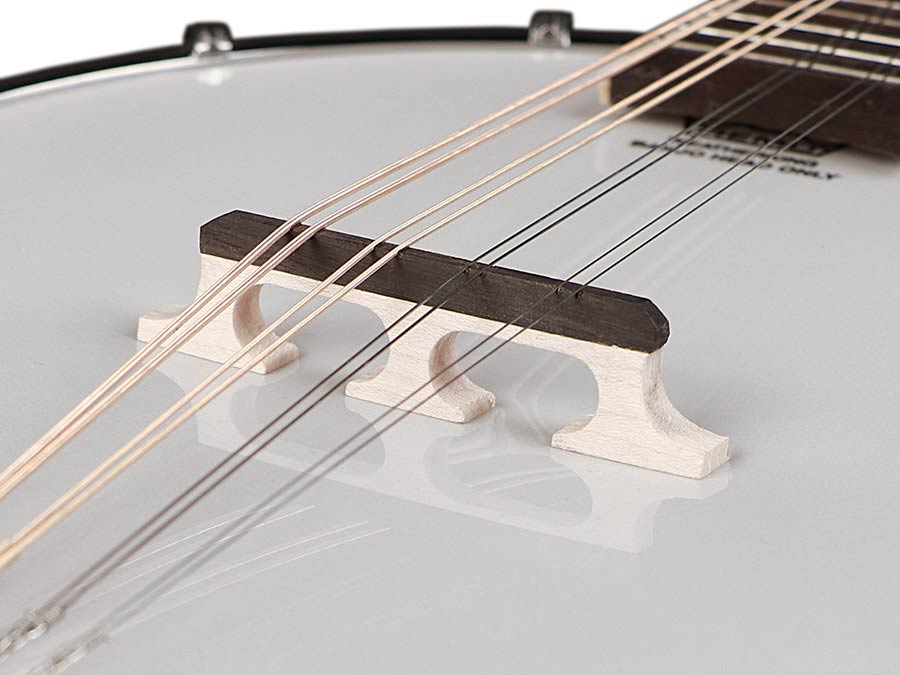 Richwood RMBM-408 Heritage Series mandolinebanjo, open achterkant, mahonie ketel, 12 beugels