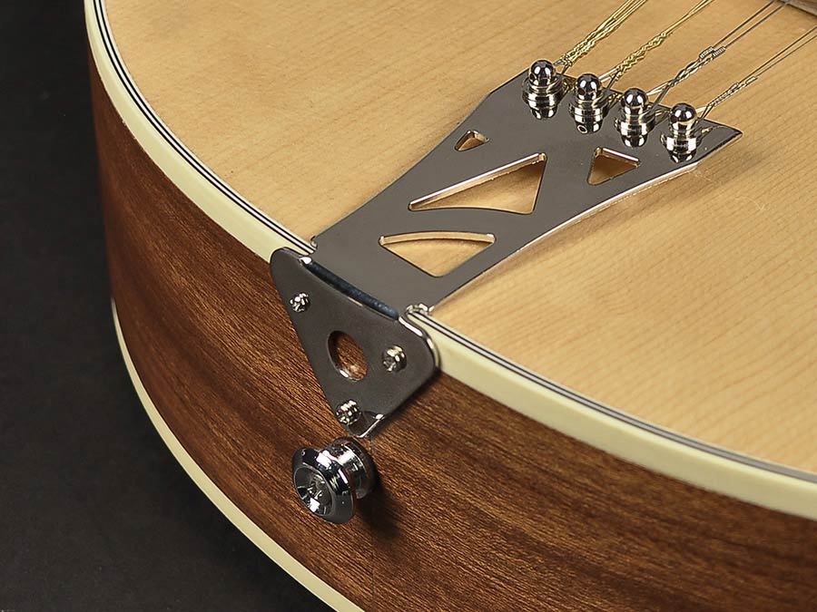 Richwood RIBZ-40 Heritage Series Irish bouzouki, massief sparren bovenblad, sapelli zij- en achterkant, open porie naturel