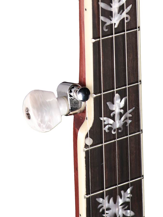 Richwood RMB-905-A Heritage Series archtop bluegrassbanjo 5-snarig, aluminium ketel + tonering, ebben toets, 24 beugels