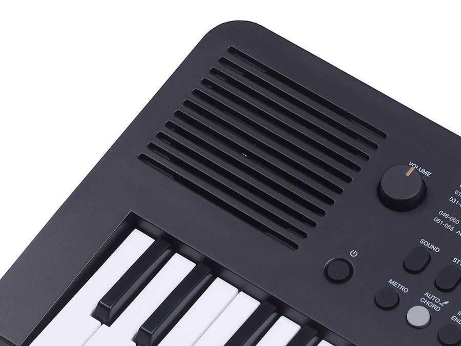 keyboard, 49 touch sensitive mini-size keys, auto chord, 1 X 2,5 W