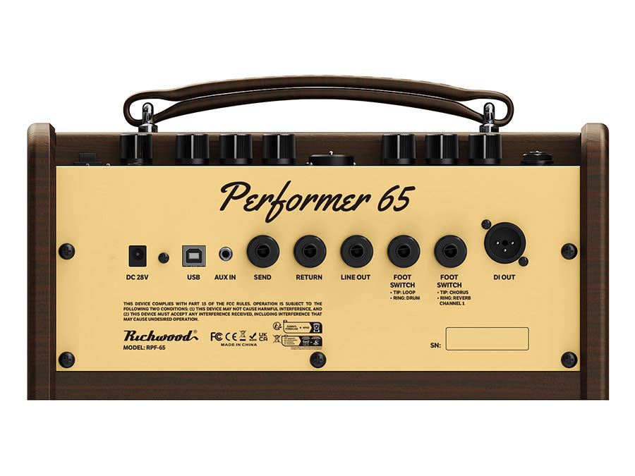 Richwood RPF-65 akoestische gitaarversterker, 2 kanalen, chorus en reverb, 60W