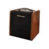 Richwood RPF-65 akoestische gitaarversterker, 2 kanalen, chorus en reverb, 60W