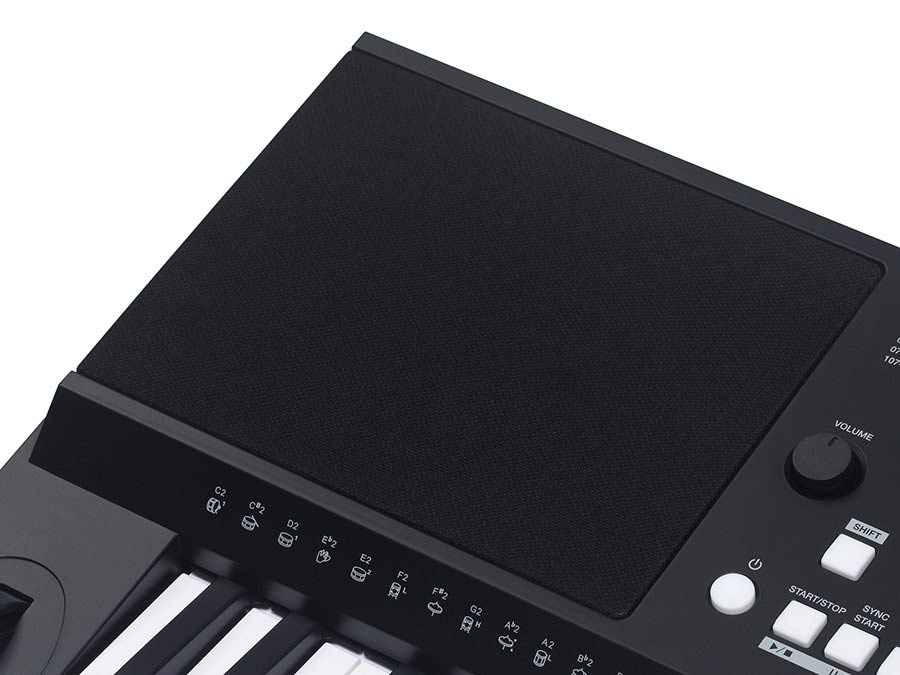 keyboard, 61 touch sensitive keys, backlit LCD, pitch-bend,  2 x 15 W
