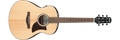Ibanez AAM100E AAM100E-NT – Advanced Auditorium met A.I.R. Port