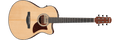 Ibanez AAM50CE AAM50CE-OPN – Advanced Auditorium met A.I.R. Port
