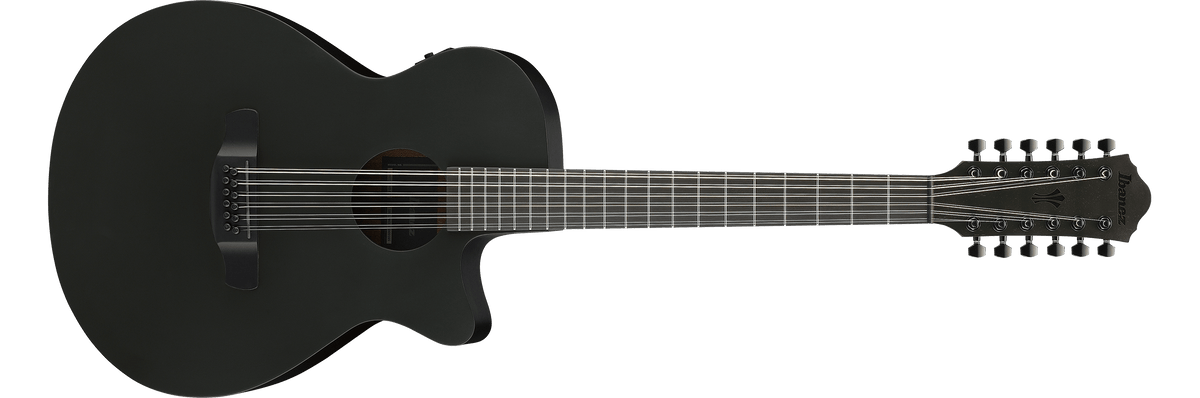 Ibanez AEG1221 – Akoestische gitaar – Black Out