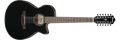 Ibanez AEG5012 AEG5012-BKH Elektro-akoestische Gitaar 12-snarig