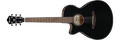 Ibanez AEG50L AEG50L-BKH Linkshandige Elektro-akoestische Gitaar