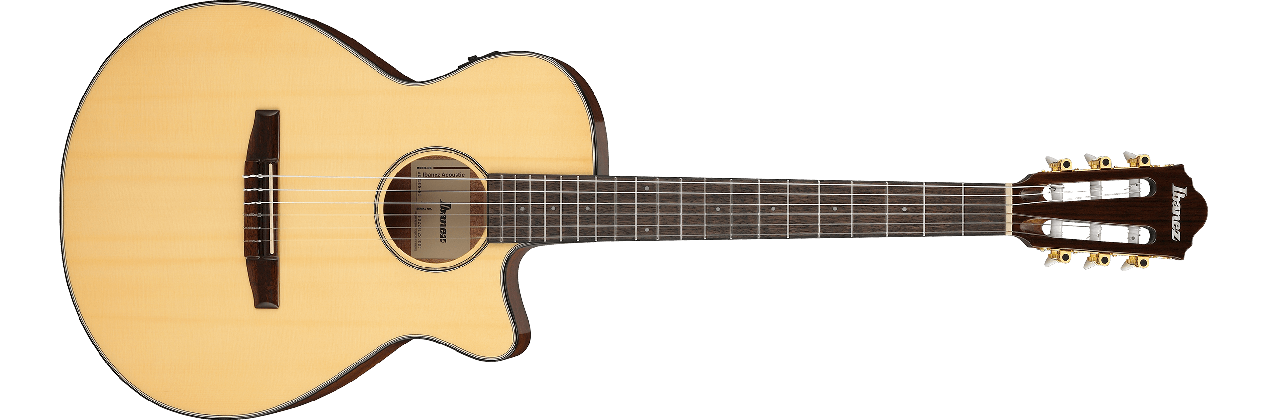 Ibanez AEG50 AEG50-NNT Elektro-akoestische Gitaar