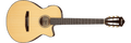 Ibanez AEG50 AEG50-NNT Elektro-akoestische Gitaar