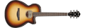 Ibanez AEG50 AEG50-DHH Elektro-akoestische Gitaar
