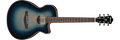 Ibanez AEG50 AEG50-IBH Elektro-akoestische Gitaar