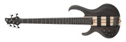 Ibanez BTB605LTGF – 5-snarige elektrische basgitaar – Transparent Gray Flat