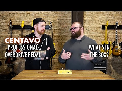 Warm Audio Centavo video
