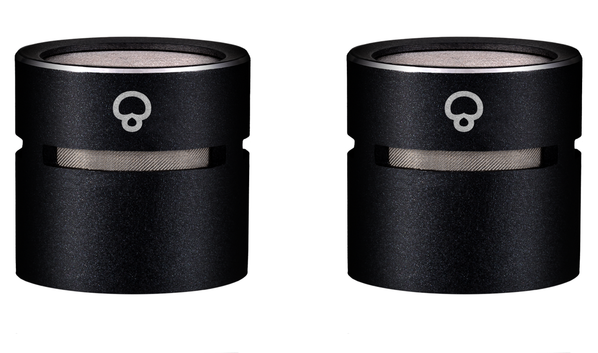 sE Electronics SE8 Supercardioid Capsule Pair afbeelding 2
