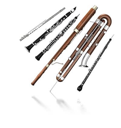 IK Multimedia Miroslav Philharmonik 2 CE (Download) afbeelding 6