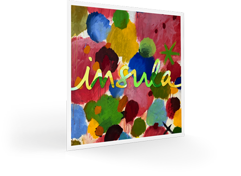 Pirastro Insula vioolsnaren 4/4 – medium