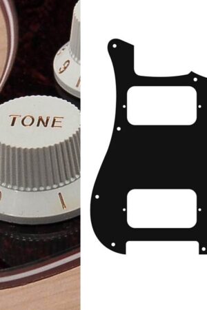 Boston pickguard Stallion HH 3 pot holes 3-5 switch 4 ply tortoise dark