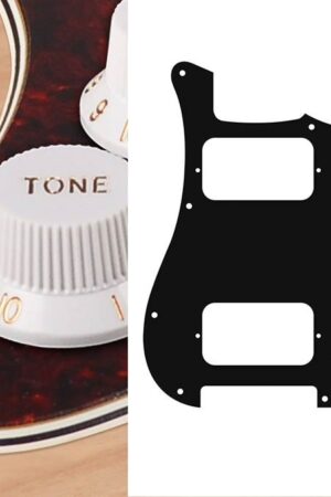 Boston pickguard Stallion HH 3 pot holes 3-5 switch 4 ply tortoise intense