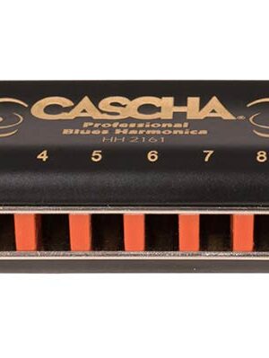professional blues harmonica in A, incl. case and cleaning cloth
